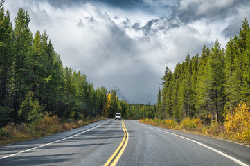 Asphalt highway in autumn pine forest and gloomy sky at Banff national park