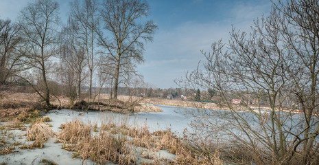 Early spring in the Moscow region