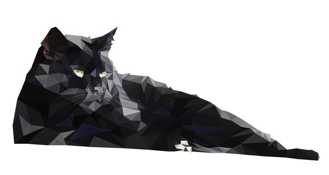 Black cat, low poly illistration