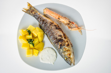 Grilled sea bass and shrimp with the sided of boiled tomatoes with garlic and tatar sauce.