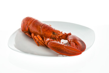 American lobster coocked and on plate.