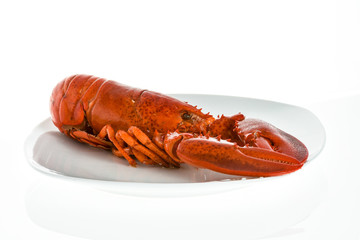 American lobster coocked and on plate.