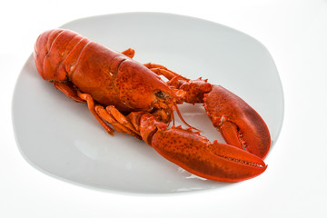 American lobster coocked and on plate.