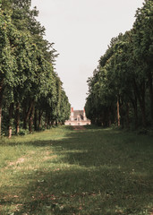 Chastle in the forest