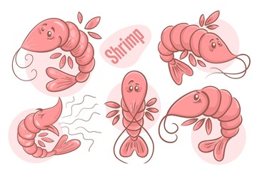 Set of hand drawn cartoon shrimps. Sea life illustration. Vector.