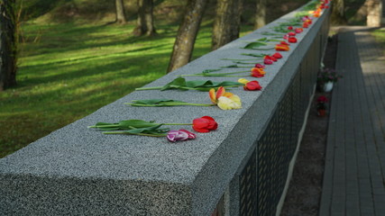A memorial wall of the Great Patriotic War warriors in Brother's Cemetery. Flowers for the memory...
