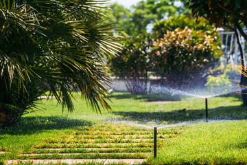 Garden water system.