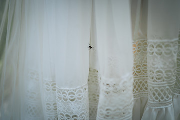 photo of an ant walking on a white dress