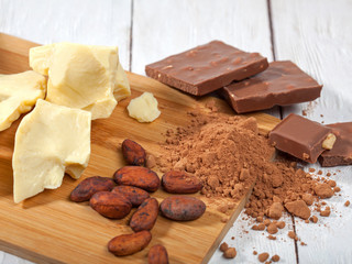 Pieces of natural cocoa butter, bar of milk chocolate, cocoa powder