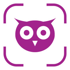 Owl simple icon. Flat desing