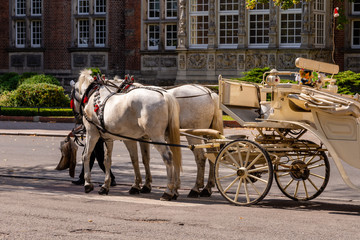 Plakat horse and carriage