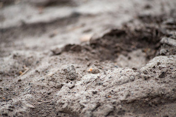 Dirty sand, environment problem concept