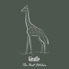 Hand Drawn White Giraffe Silhouette Isolated on Dark Background