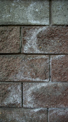 close stone wall texture damp spots