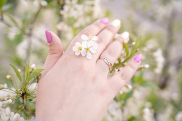Female hand holding apple tree brunch with white flowers. Blossom and renewal concept. Health care, horizontal view