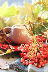 A cup of hot drink, berries, pumpkins, spices, a scarf, autumn leaves on the background of the window, the concept of home comfort, healthy food, tea for the common cold