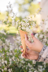 Fototapeta na wymiar Beautiful waffle cone with ice cream decorated with flowers in the girl’s hand with multi-colored bright manicure