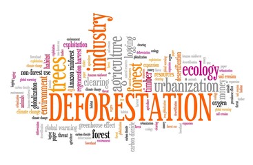 Fototapeta premium Deforestation word cloud