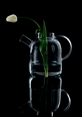 glass teapot with flowers on a black background