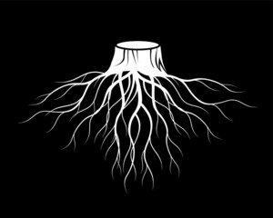 White Tree Roots. Vector outline Illustration. Plant and Garden.