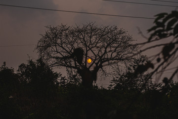 atardecer