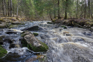 Naklejka na ściany i meble small river in the forest, long exposure photo
