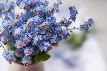 blue flowers in a vase