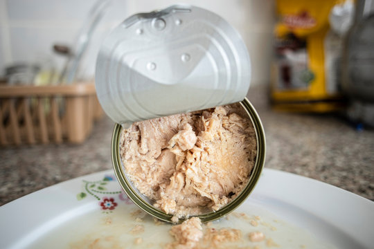 Canned tuna in a porcelain plate and on the kitchen counter. Spilled on the plate. Close up.
