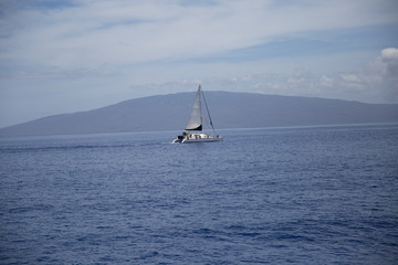 Fototapeta premium sailboat on the sea