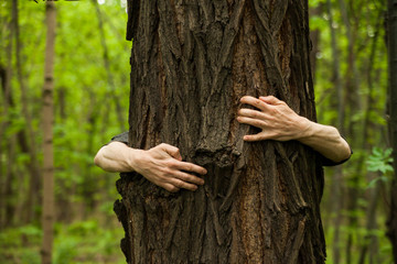 hands on an old tree trunk 