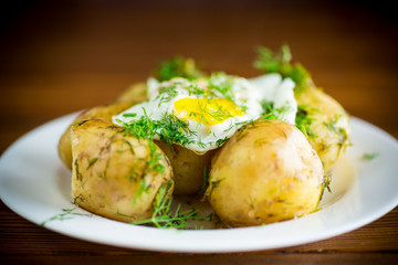 boiled early potatoes with fried egg and dill