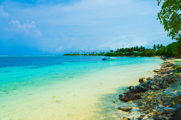 Maldives Sunny beach and coconut palms