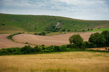 Fototapeta premium Pola i owce wokół Herstmonceux, East Sussex, Anglia. Murowany zamek Herstmonceux w Anglii (East Sussex) z XV wieku.