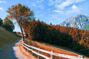 Mountain trail on Alps in autumn, colorful nature