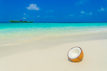 Fototapeta na wymiar Tropical Sunny beach with coconut on white sand
