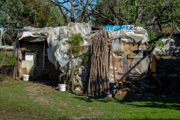 flowers, huts and trees grown in the garden