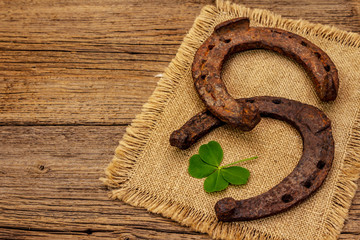 Two very old cast iron metal horse horseshoes, fresh clover leaf. Good luck symbol, St.Patrick's...