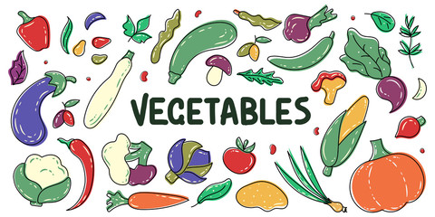 Big set of hand drawn colorful vegetables and herbs. Corn, chilli, pumpkin, broccoli, eggplant, carrot, asparagus, onion, olives, garlic. Vegetarian healthy food. Vegan, farm, organic vegetables