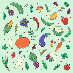 Big set of hand drawn colorful vegetables and herbs. Corn, chilli, pumpkin, broccoli, eggplant, carrot, asparagus, onion, olives, garlic. Vegetarian healthy food. Vegan, farm, organic vegetables
