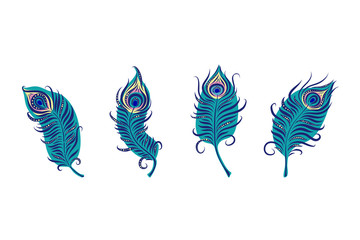 Hand drawn colorful feather collection. Piacock set vector illustrashion.