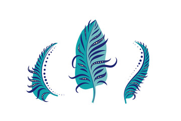Hand drawn colorful feather collection. Piacock set vector illustrashion.