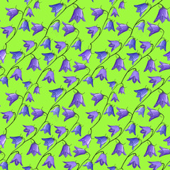Green seamless pattern with bellflowers campanula flowers on light blue background. Floral background in gouache. Holidays presents and gifts wrapping paper For textiles,packaging,fabric,wallpaper