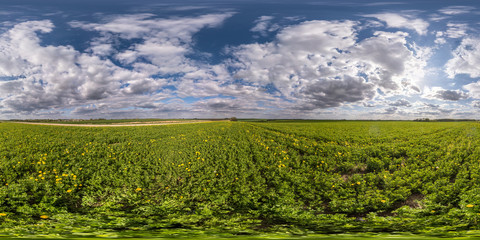 Obraz premium full seamless spherical hdri panorama 360 degrees angle view on among fields in spring evening with awesome clouds in equirectangular projection, ready for VR AR virtual reality content