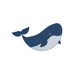 Whale cute vector illustration isolated on white