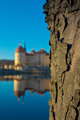 Schloss Moritzburg