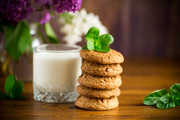 oatmeal cookies with a glass of fresh milk for breakfast