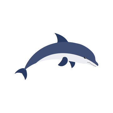 Dolphin cartoon cute vector illustration isolated on white