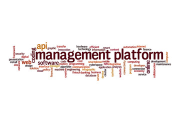 Management platform word cloud concept