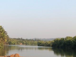 Mangrove and lake in Goa
