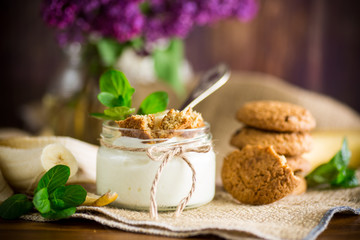 sweet homemade yogurt with fresh bananas and slices of oatmeal cookies